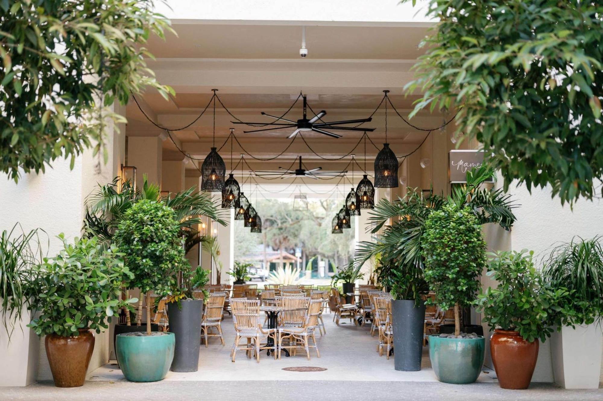 Thesis Hotel Miami Coral Gables, Curio Collection By Hilton Luaran gambar